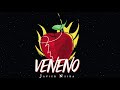 Javier Neira - Veneno ( Cover Audio)