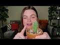 Cacti 101: a care guide & mini cacti collection tour!