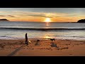 Dogs chasing a ball on Terrigal Beach at sunrise.