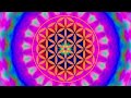 Chakra Soundwaves - 417hz Sacral Chakra Healing Meditation - Svadhisthana - Unblock your Energy