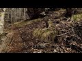 Hiking Panoramic Path Part II | Virtual Hike, Relaxation, StressRelief, Nature, Mountains