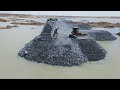 Incredible Amazing Project Build Road in lake by Bulldozer Komatsu Pushing Stone