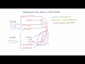 Respiratory Viruses - Clinical Presentations and Diagnosis