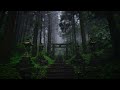 Sacred Forest ✨ | Relaxing Rain and Thunder Sounds for sleeping | 4K | NTα ⛈️⚡️