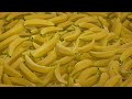 Super Food Banana Relaxation, Sensory Relaxation Healing Music, Heal With This Super Fruit in (4K).