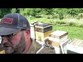 When do you harvest honey? | beekeeping | 2021 honey harvest