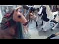 Horse Play: Episode 2.. (Schleich Horse Series!)!