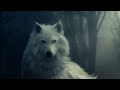 Epic Music - White Wolf Spirit