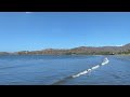 Pelicans fishing at Playa Potrero Guanacaste Costa Rica