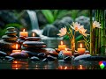 Beautiful Relaxation Music Collection - Relieve Stress and Fatigue 🌸
