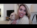 WE GOT A PUPPY!!! 🐾  | BRINGING HOME OUR 8 WEEK OLD GOLDEN RETRIEVER