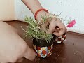 DIY PLANT ☘️ POT FROM BROKEN CUP 🍵