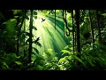 Songs of the forest - 8 HOURS Sleep, Relaxing, Insomnia, Meditating