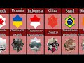 Comparando o BLACK DAY na História de Diferentes Países