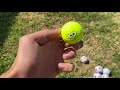 Finding Golf Balls In Golf Course Bushes