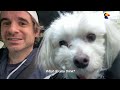 Dad Finds His Daughter The Perfect Rescue Dog | The Dodo