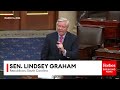 JUST IN: Lindsey Graham Gives Blunt Response To Chuck Schumer's Remarks On Netanyahu