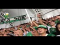 FRENTE RADICAL (Copa Aguila 2017) Hijo BoBo aBerica vs. Deportivo Cali