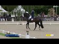 Grand Prix stallion Jovian & Patrik Kittel