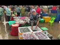 Food Rural TV, Cambodian Street Food Compilation - Fruit, Fish, Meat, Vegetable & More