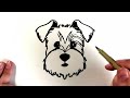 How to Draw a Miniature Schnauzer Dog