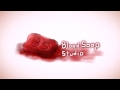 BloodSoapLogo