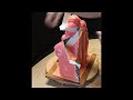 HOW TO MAKE A COMPLEX MOLD for Sculpture - Silicone and Hydrostone / Plaster, Handmade Mould