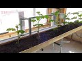 Indoor Mini Grow system