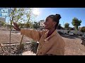 Culdesac Tempe: A car-free rental apartment community in Tempe, AZ (mini walking tour)