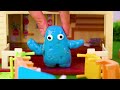 Bluey & Peppa Pig: Learn To Swim With Bluey | Swimming Safety Rules