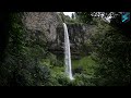 Noise waterfall • Singing forest birds • Sounds nature for sleeping children and adults • Relax time
