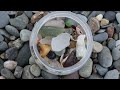 Beachcombing Coastal New England [Season 3] Shelling, Rockhounding, Sea Glass Hunting (Glass, Shells