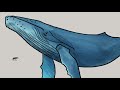 Whale Evolution: Good Evidence for Darwin? (Long Story Short, Ep. 2)