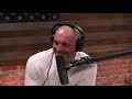 Joe Rogan on Leaving Neverland