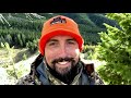 CRAZY Elk Hunting with GRIZZLY BEARS on Public Land
