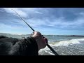 Surf Perch Fishing Spring 2024  Found the Honey Hole!  2024