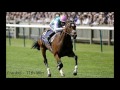 Frankel - The 'Wonder Horse' [All 14 Wins]