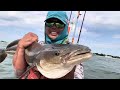 😱😱monster Cobia caught in Chesapeake bay Virginia😱😱