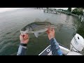 White Perch Fishing On The Chesapeake Bay! (This Spot Was LOADED)