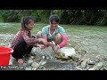 Harvesting Stream Fish - Bringing it to the village to sell, Earning extra income to feed orphans