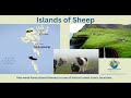 Faroe Islands - The Islands of Sheep