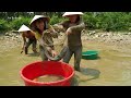Harvest Fish In The Pond Goes to Market Sell - Live With Nature | Tiểu Vân Daily Life