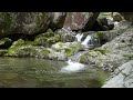 [4K] The peaceful stream sounds that calms the mind. ASMR - Yangsan. 1. C. 4.