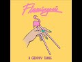 Flamingosis - A Groovy Thing [Full Album]