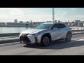 10 Reasons Why You Should Buy the 2024  Lexus UX