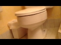 Toilet Flush -- American Standard Cadet circa 1979 in Guest Bathroom