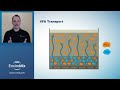 Video 3 of 4: Optimizing EBPR with VFA Transport