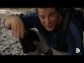 Bear Grylls' Intense Battle for Survival in the Malaysian Wilderness | Man Vs. Wild | Discovery