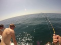 Fishing off Clearwater