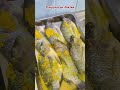 Ikan Gurami dan Ikan Nila Ungkep Siap Goreng #foodprep #foodpreparation #makanikan